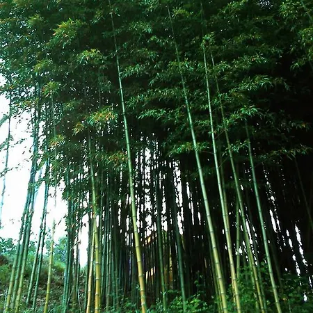 Casa Do Piano Kır Evi