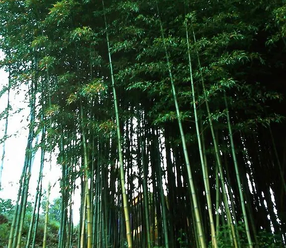 Casa Do Piano Country house